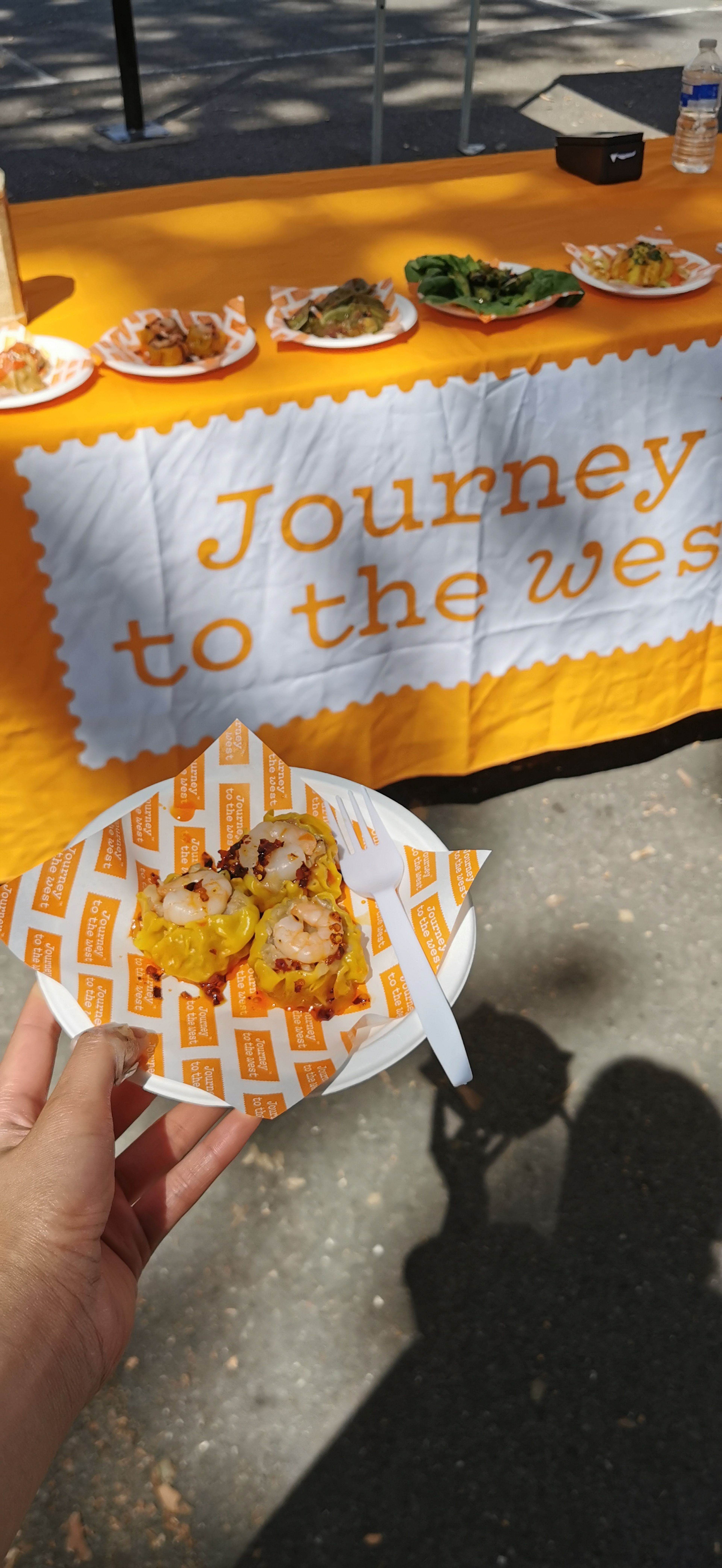 Journey to the West