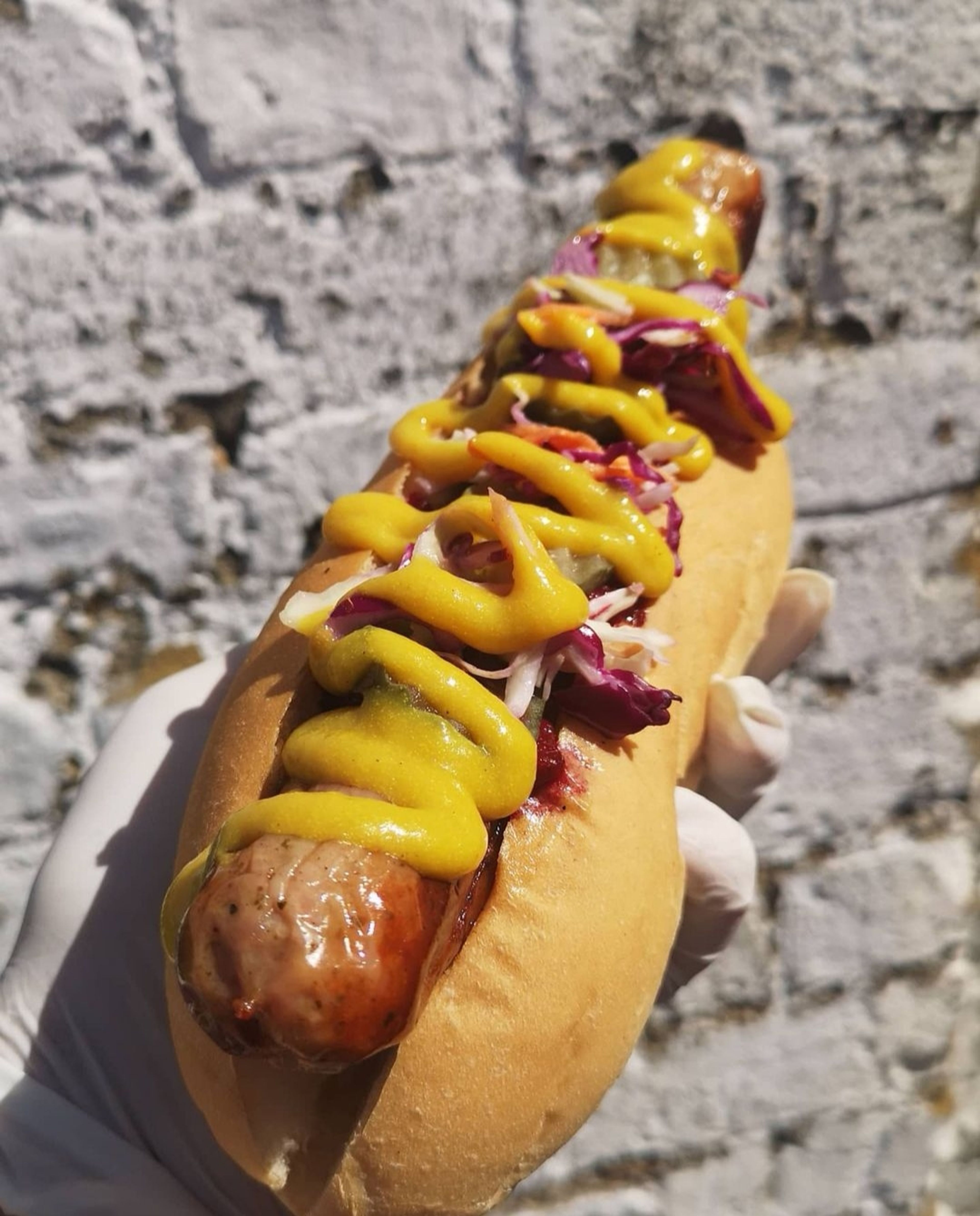 Walthamstow Dogs 