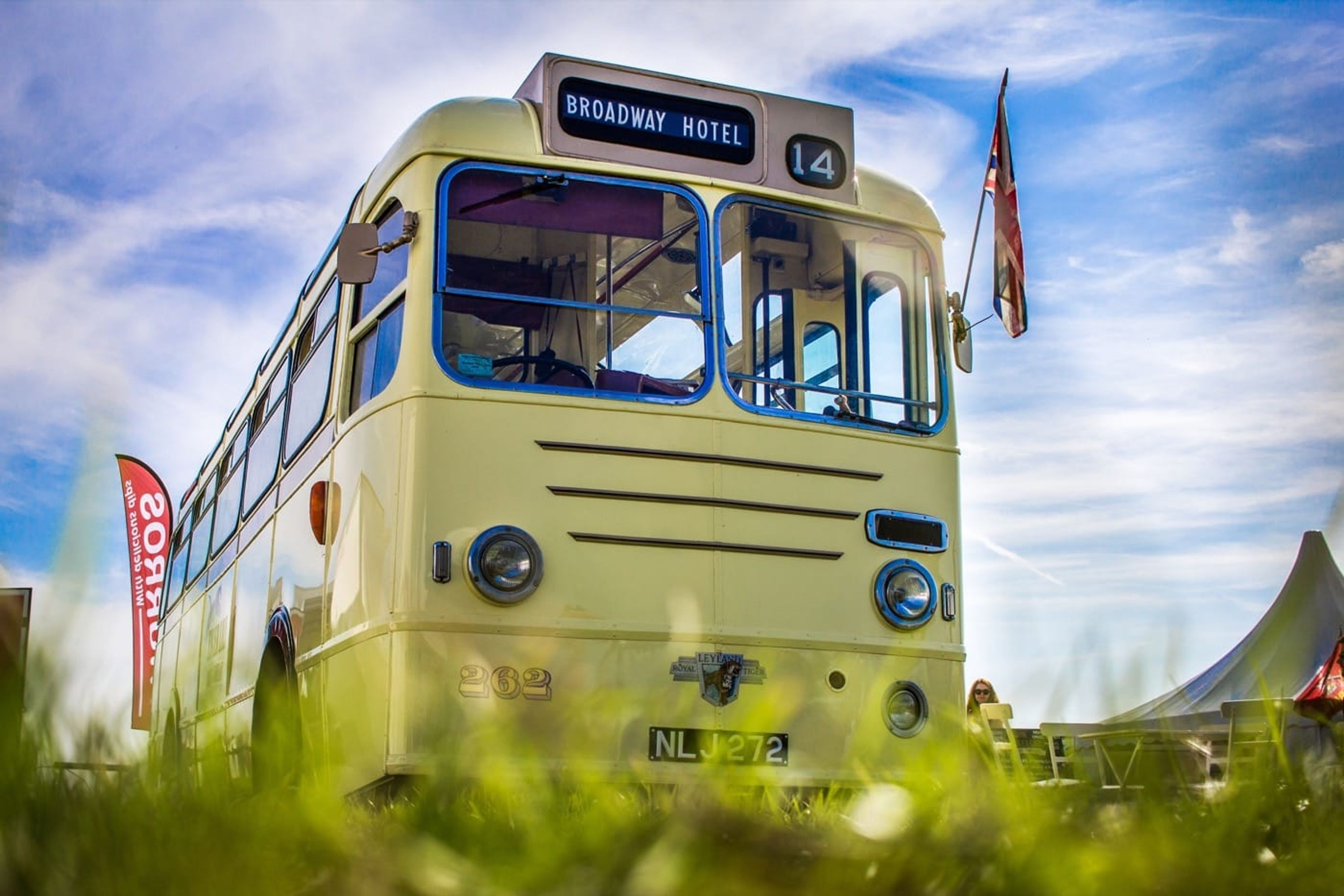 Tiger Lily Bus Company